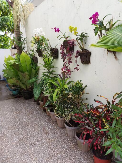 Home Away From Home. Bacolod Exterior foto
